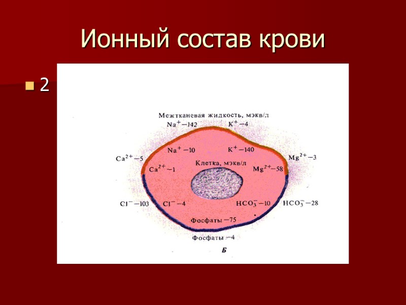 Ионный состав крови 2